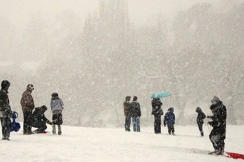 Sledging in a snowstorm in Abbey Fields, Kenilworth, 18 December 2010